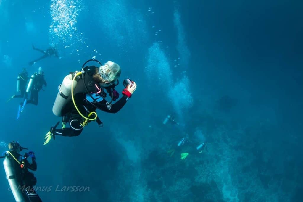 PADI Open Water Course | Bali Dive Resort & Spa