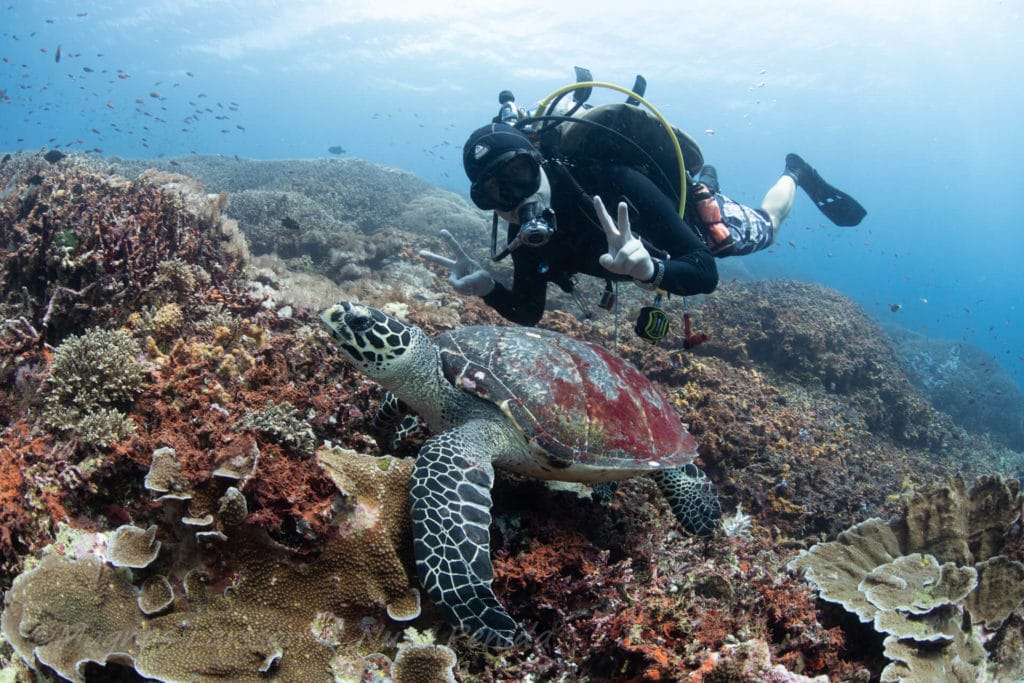 Dive Sites Nusa Penida | Bali Dive Resort & Spa